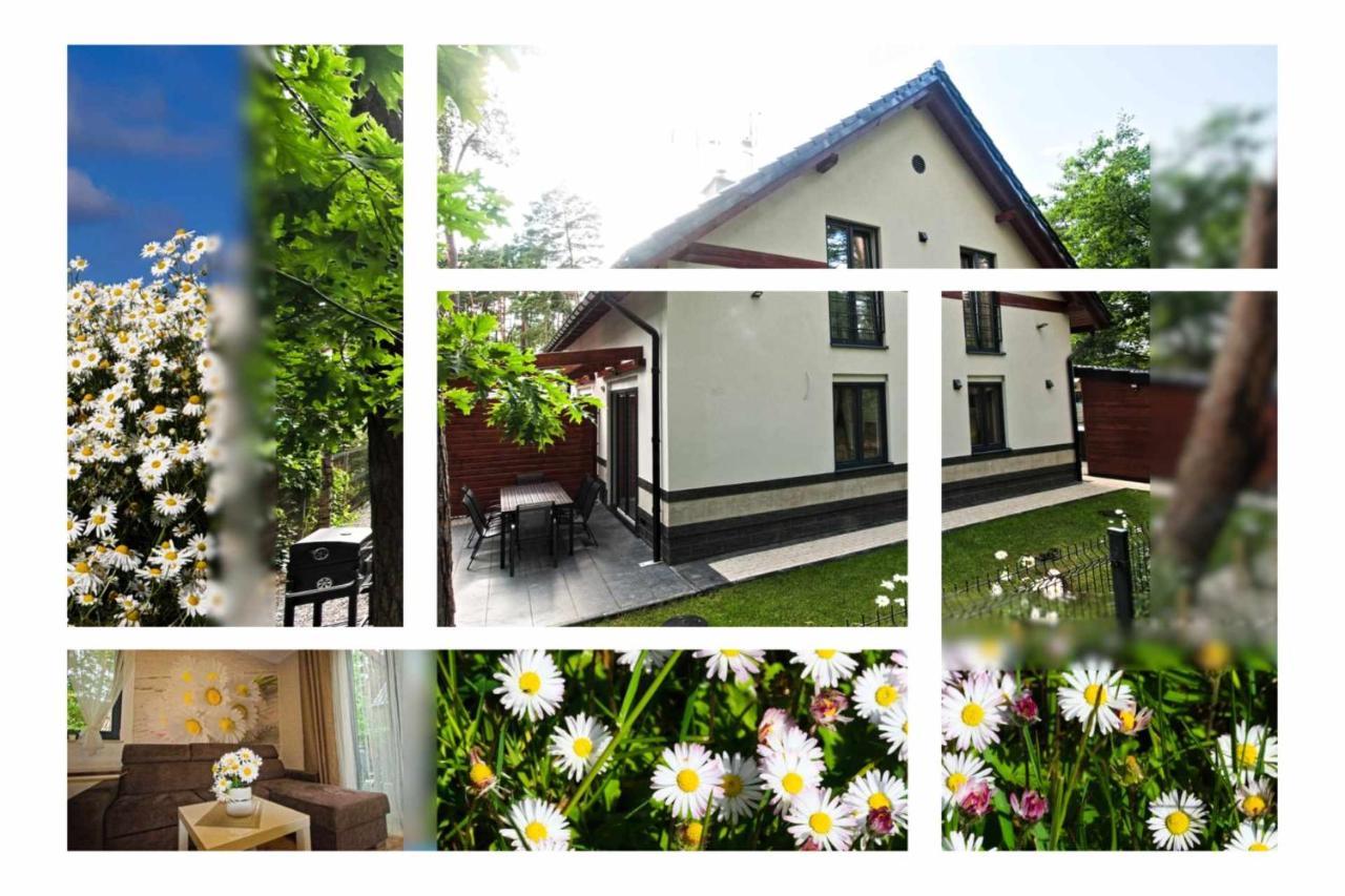 Daisy - Sunny Flowers Apartments Łukęcin Exterior foto